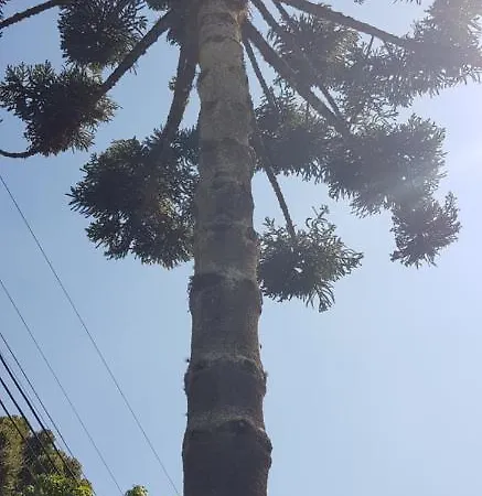 Recanto Do Sonho Em Campos do Jordão Exterior foto